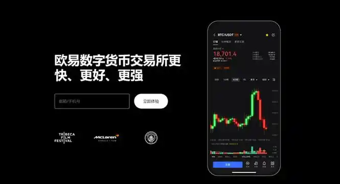 o易下载平台展示图
